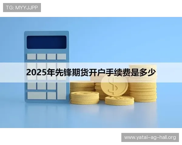 通过ag开户网快速开设账户，支持多币种交易，满足不同投资者的多样需求